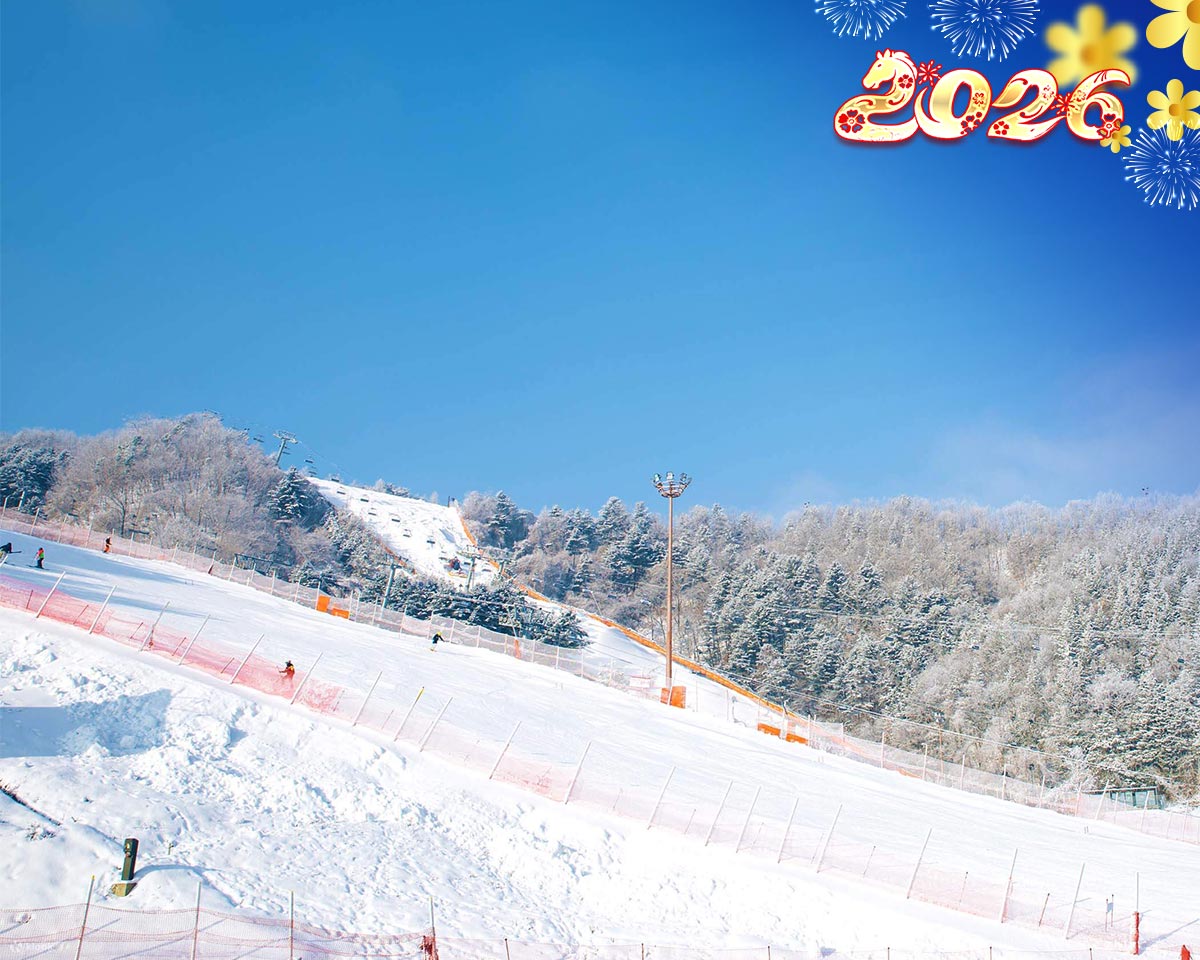 SEOUL - ĐẢO NAMI - ELYSIAN -  EVERLAND - JIMJIBANG