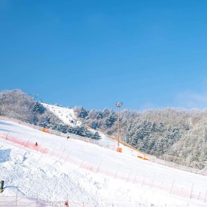 SEOUL - ĐẢO NAMI - ELYSIAN -  EVERLAND - JIMJIBANG