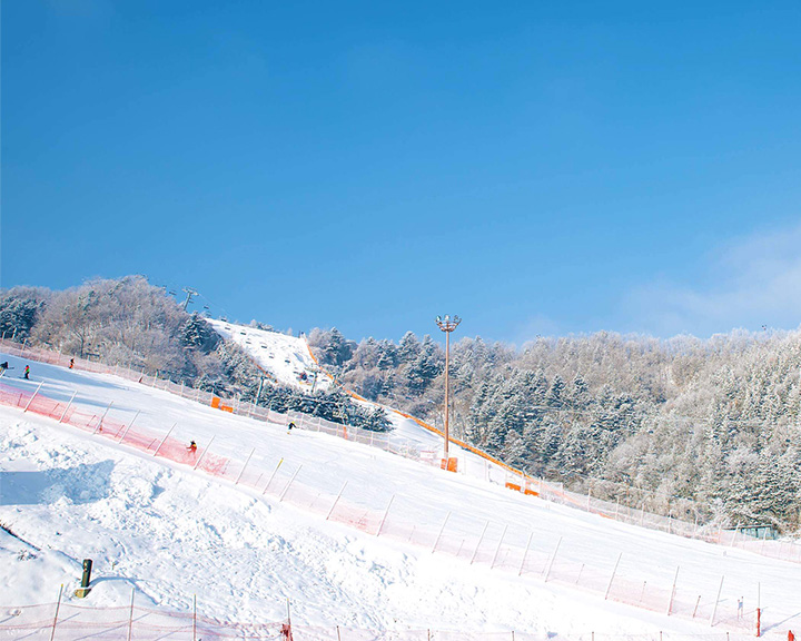 SEOUL - ĐẢO NAMI - ELYSIAN -  EVERLAND - JIMJIBANG