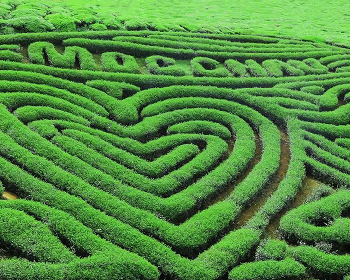 Hà Nội - Lai Châu - Điện Biên